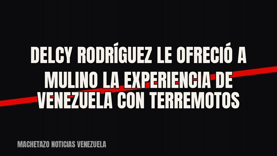 Delcy Rodríguez le ofreció a Mulino la experiencia de Venezuela con terremotos