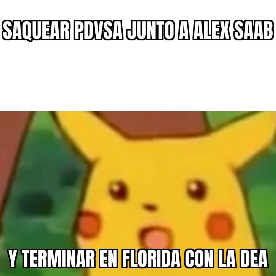 La DEA sacó de Caracas y se llevó a Florida a Álvaro Pulido, el pana y socio de Alex Saab