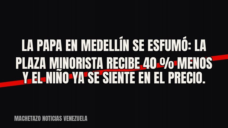 La papa en Medellín se esfumó: la Plaza Minorista recibe 40 % menos y El Niño ya se siente en el precio.